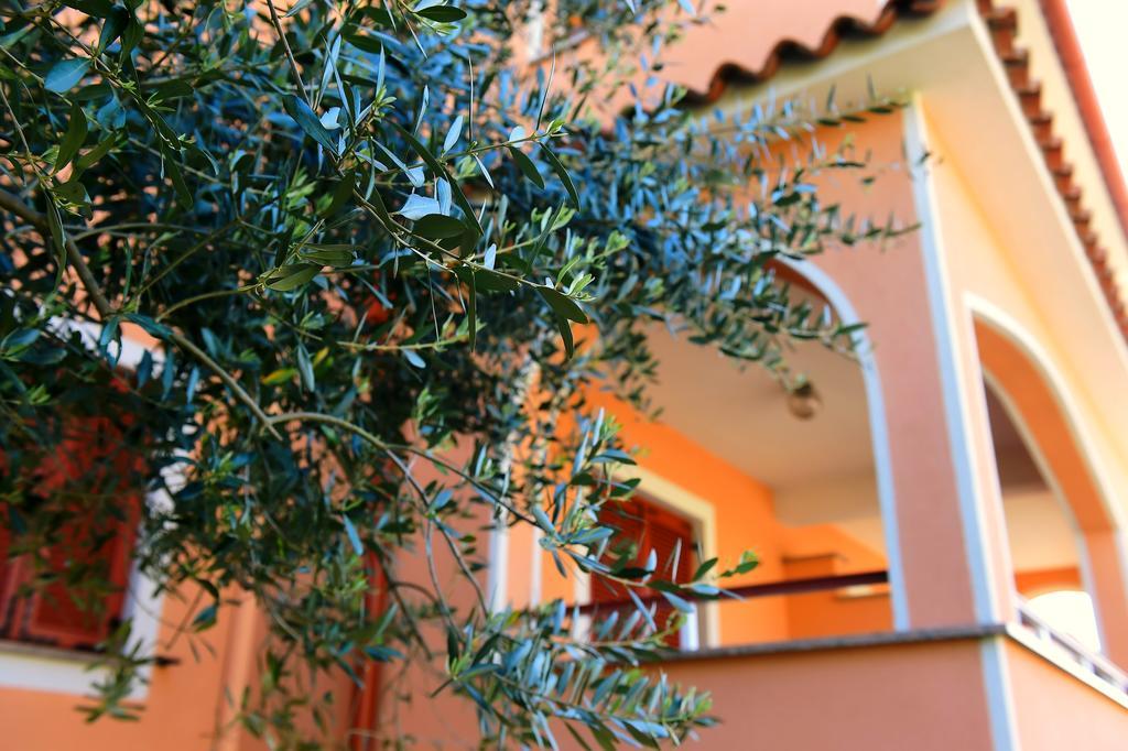 Apartments Zdjelar Poreč Kültér fotó